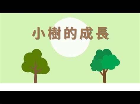 小樹變大樹|連志展／小苗一定要長成一棵大樹嗎？